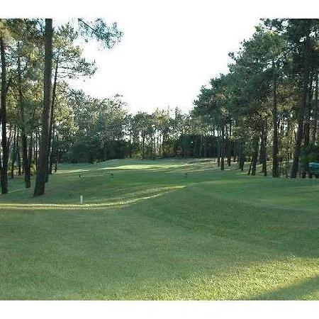 Quinta Da Barca *